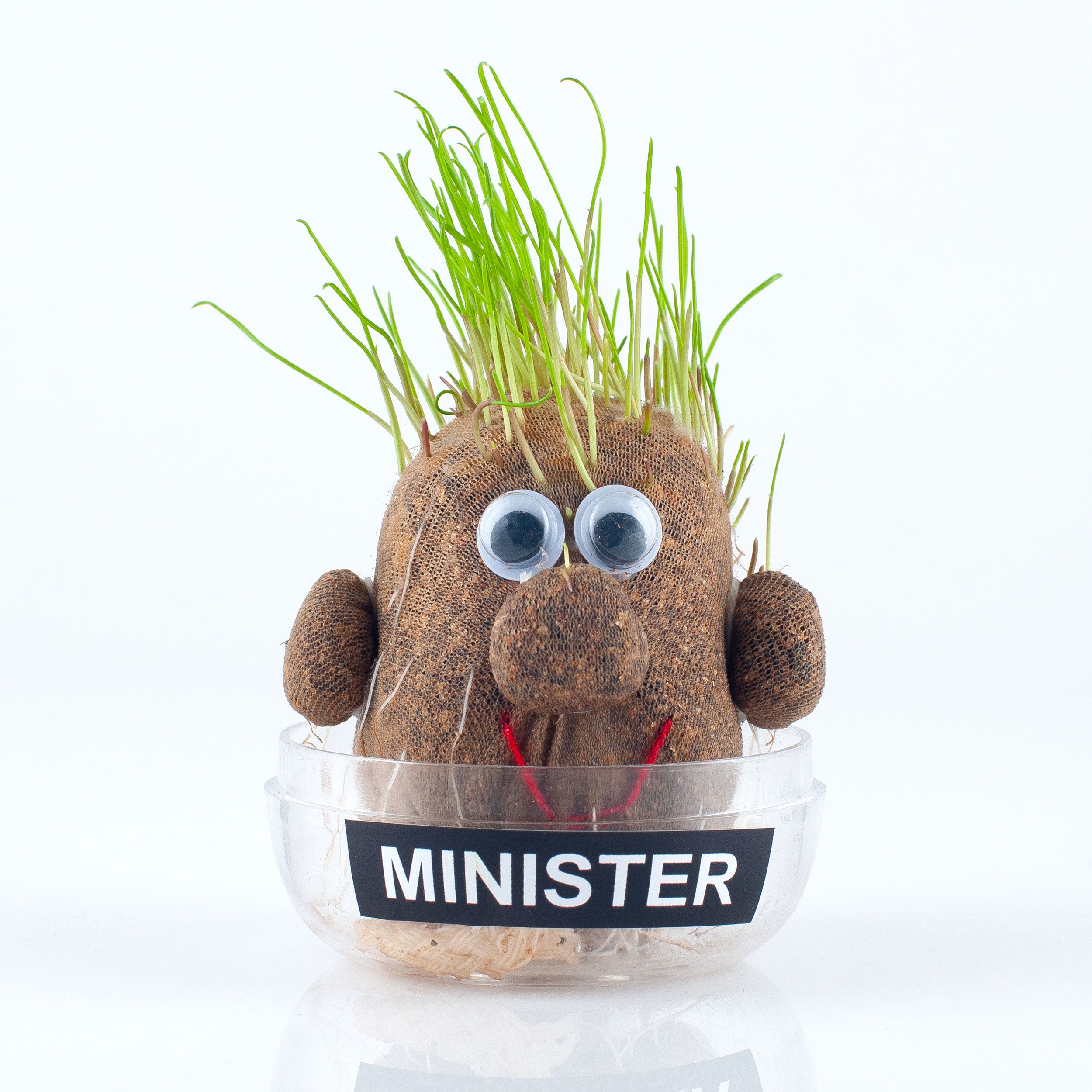 Minister