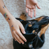 Tetovačky Domáci miláčikovia