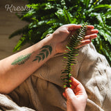 Tetovačky Kapraďomil (papraďové)