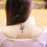 Tetovačky Knihomoľské s Martinusom