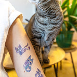 Tetovačky Mačky