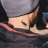 Tetovačky Sliezsky dom - Fauna