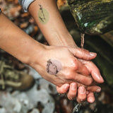 Tetovačky Sliezsky dom - Flóra