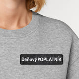 Menovka Daňový poplatník